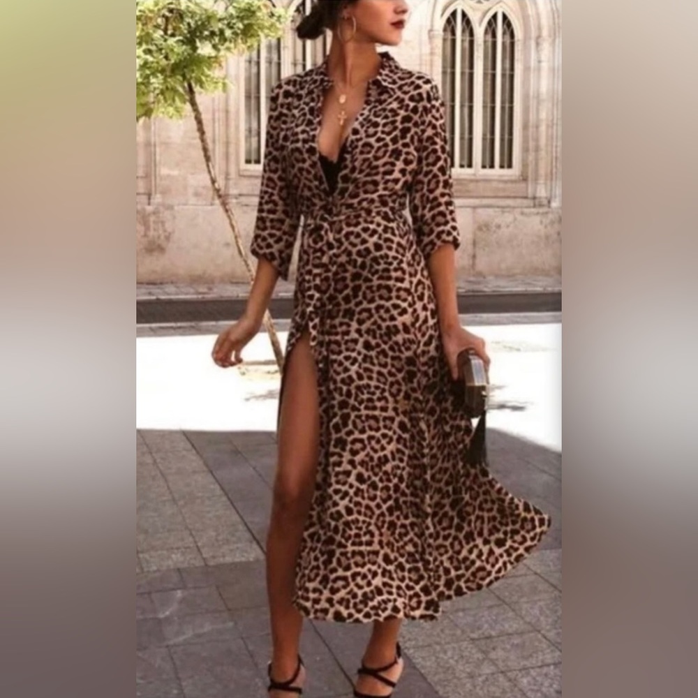 Zara Leopard Print Button Down Maxi Dress